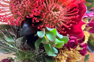 2025年　8月の花