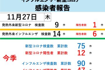 2025年発熱外来インフルエンザ・新型コロナ感染者報告