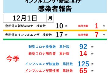 2025年発熱外来インフルエンザ・新型コロナ感染者報告