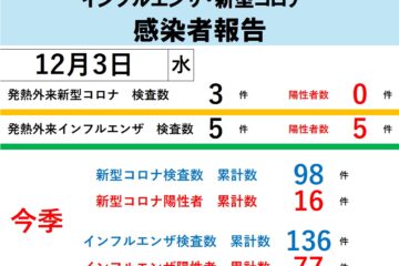 2025年発熱外来インフルエンザ・新型コロナ感染者報告