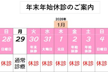 年末年始休診のお知らせ