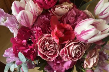 2026年　2月の花FEBRUARY