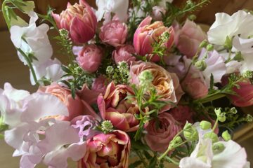 2026年　3月の花MARCH