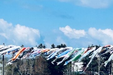 ゴールデンウィークの外来診療のお知らせ