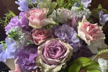 2026年　5月の花MAY