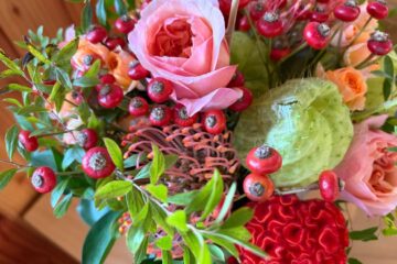 2026年　10月の花OCTOBER